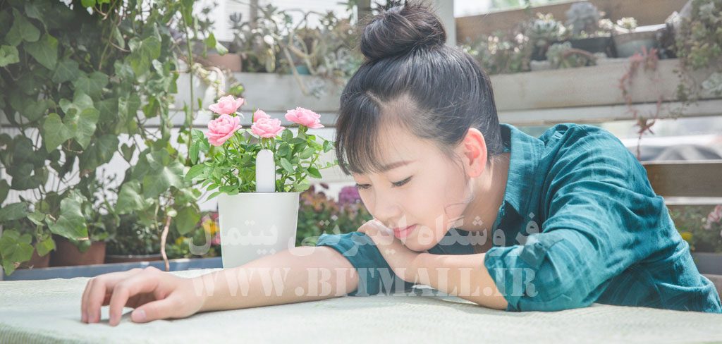 Xiaomi Huahuacaocao Flower Care Smart Monitor
